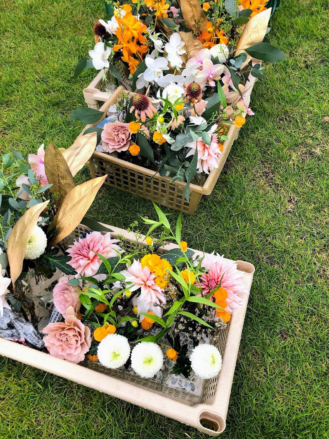 【最果てに灯る宿】第6章 ウエディングとの出会い