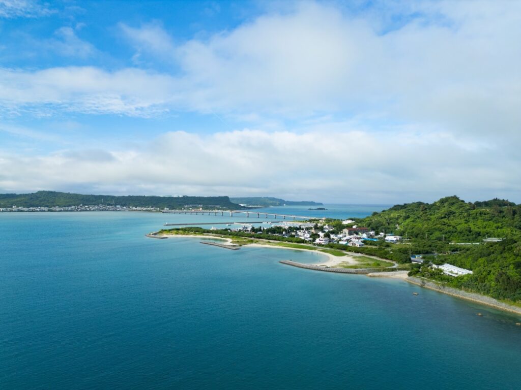 【子供に「本当の海」を見せたかった】